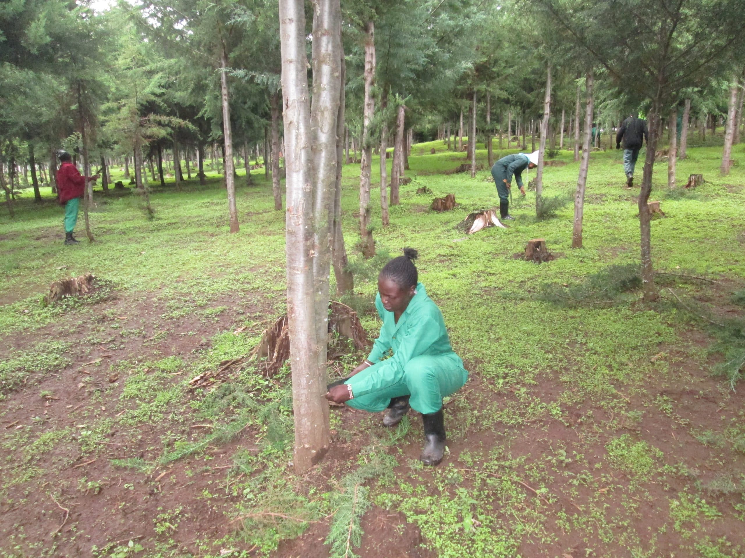 Department of Environmental Management