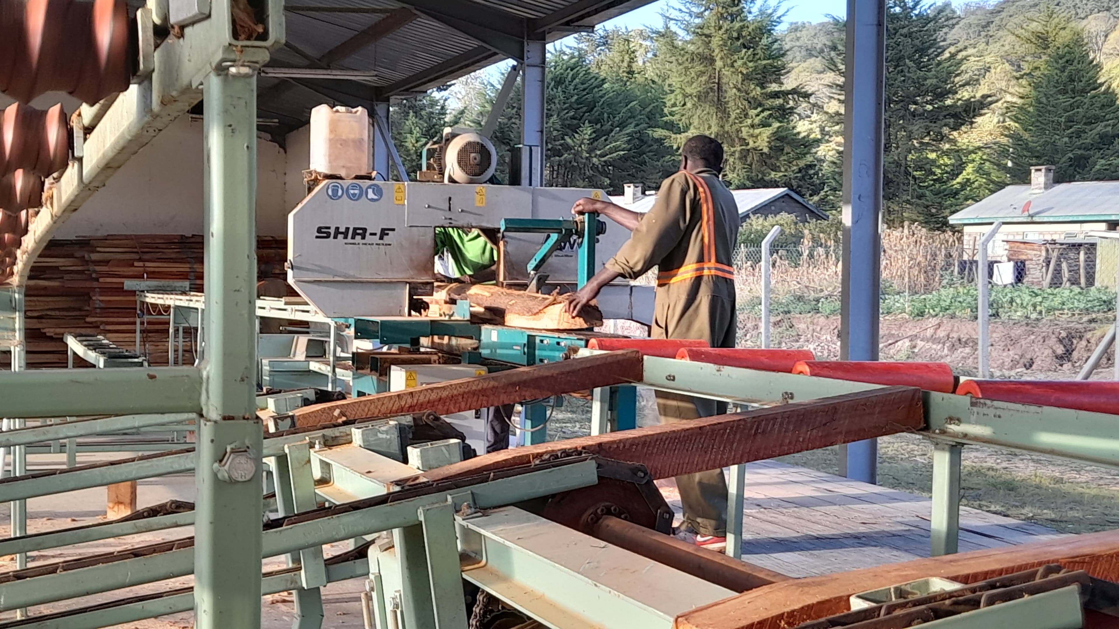 Diploma in Wood Science and Technology